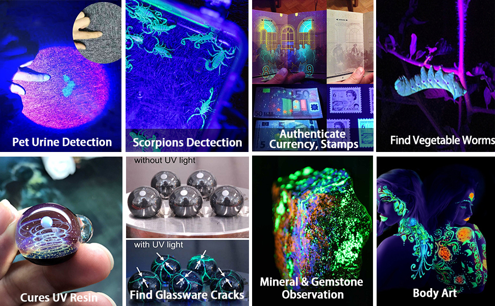 ultraviolet flashlight