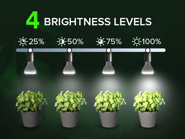 grow lights for indoor plants