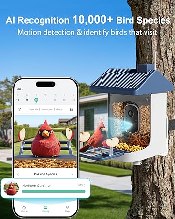 bird feeder with camera