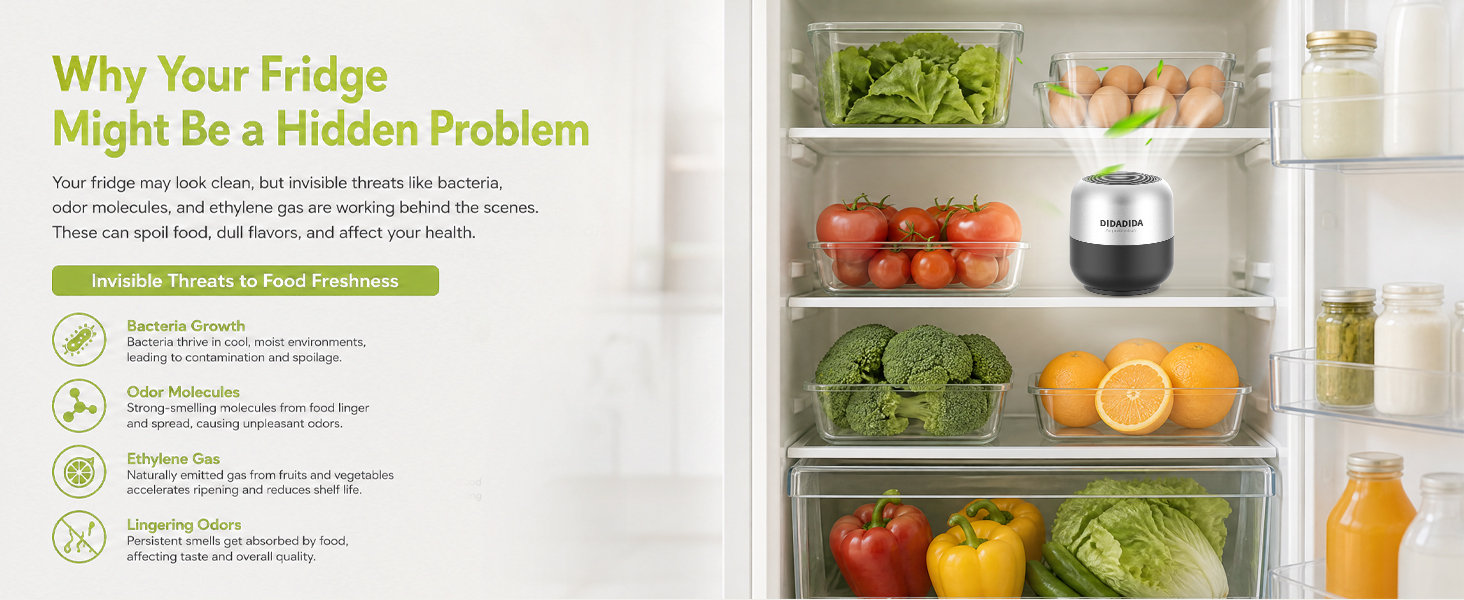 refrigerator deodorizer