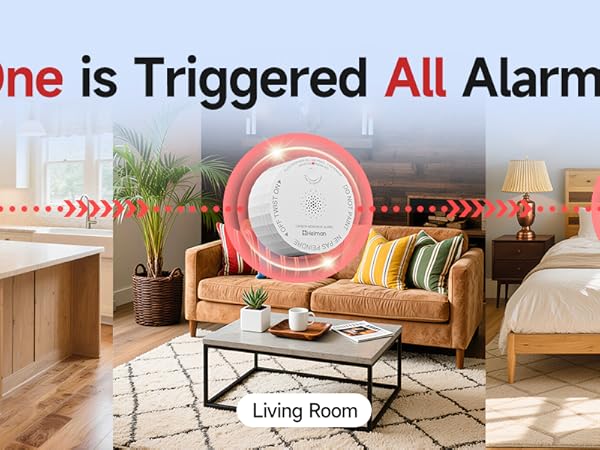 wireless interconnected carbon monoxide detector one alarm all alarm
