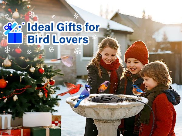 bird bath heaters for outdoors in winter