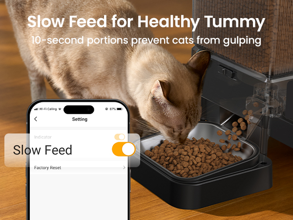 automatic cat feeder