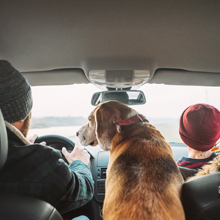 seat back organizer car purse holder between seats consolas y organizadores para auto