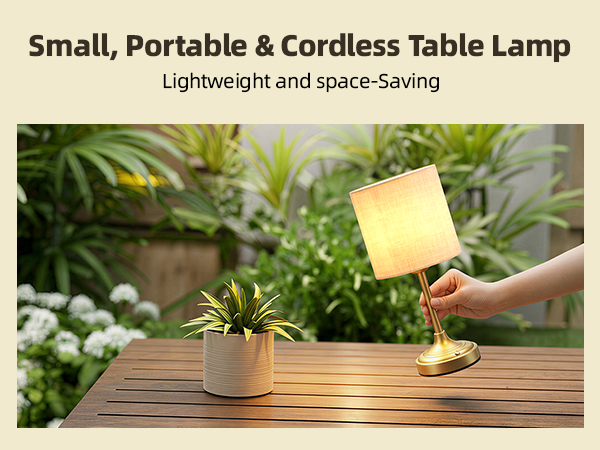 Cordless Table Lamp