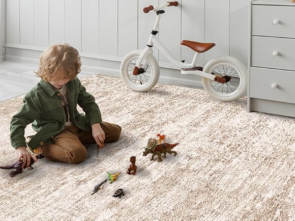 area rug