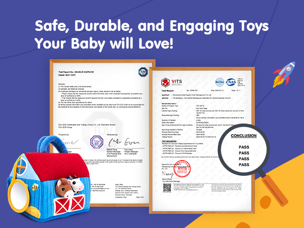 Baby Toys 6-12 Months