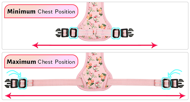 small dog harness