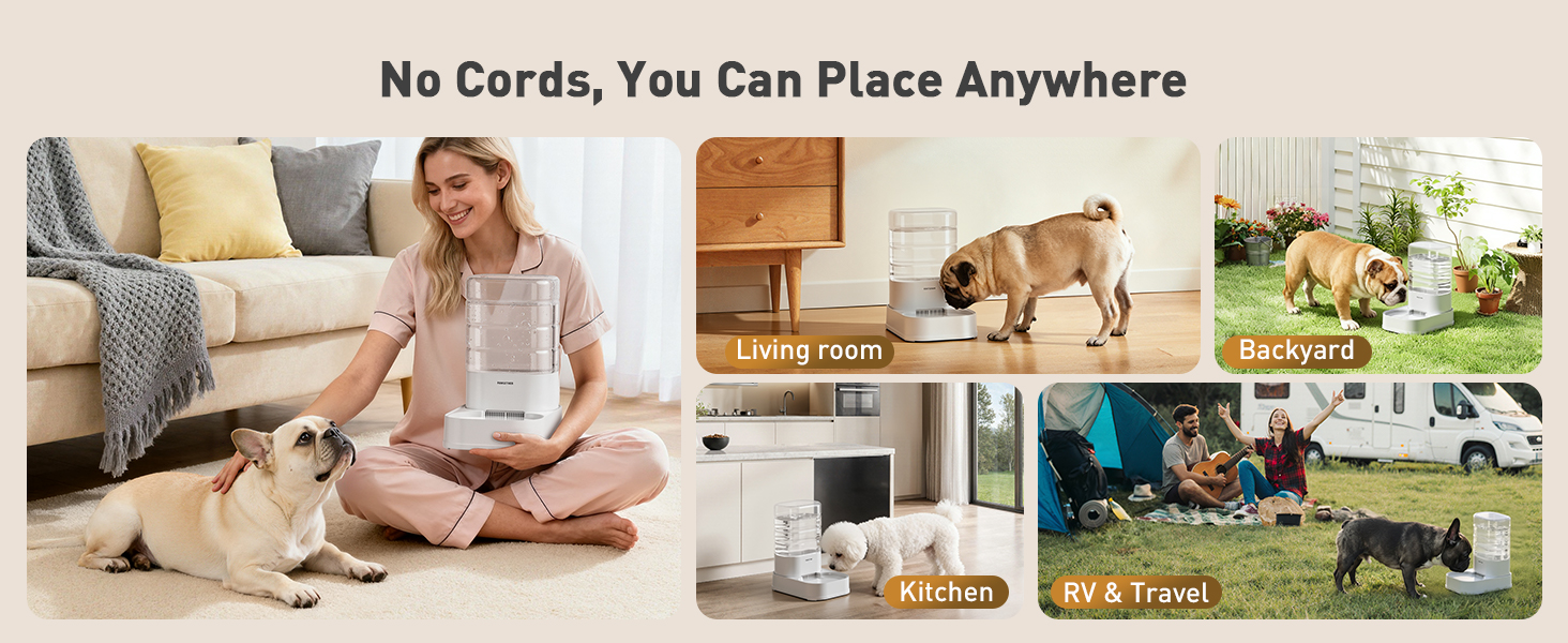 water feeder for dogs