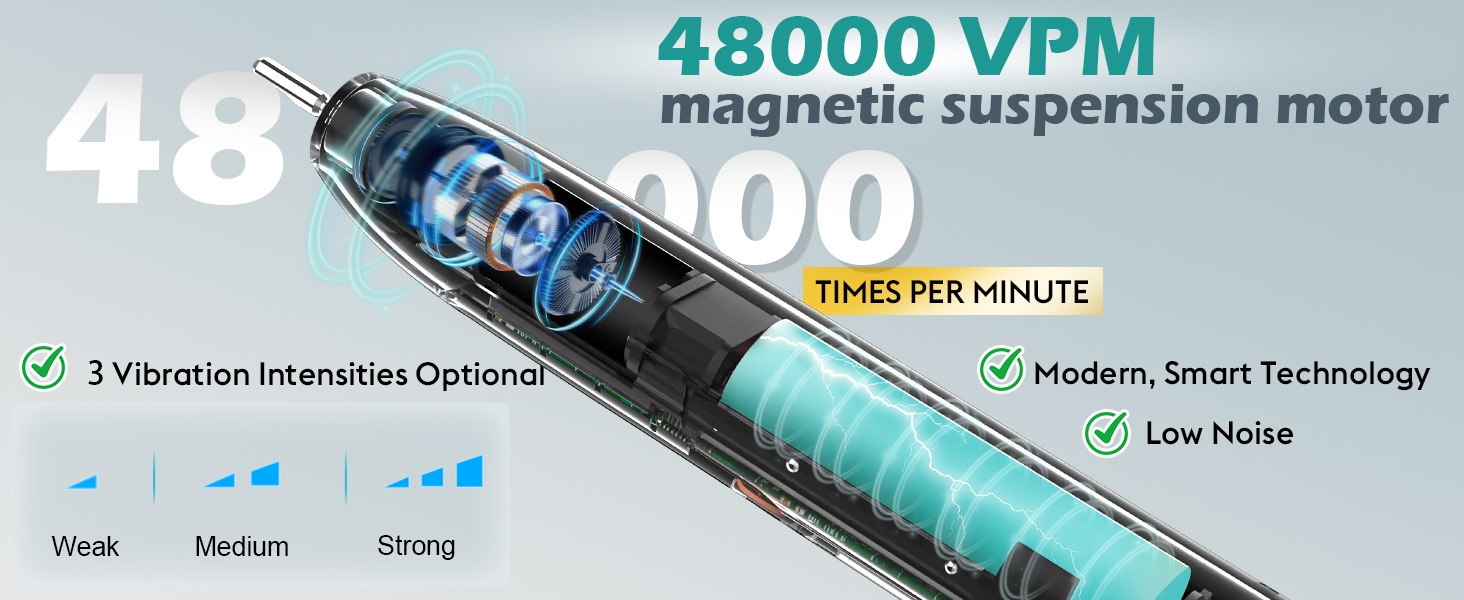 rechargeable sonic toothbrush