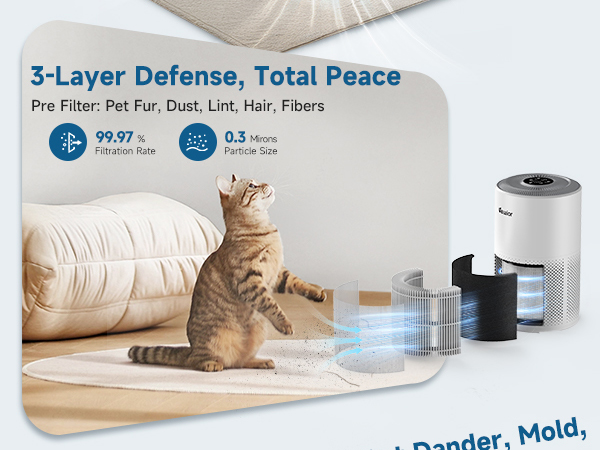 3-Layer Defense
