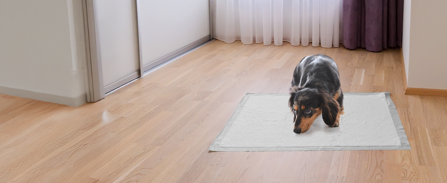 pet pads puppy stuff puppy pad dog kennel pad dogs accessories large pee pads for dogs dog pee pad
