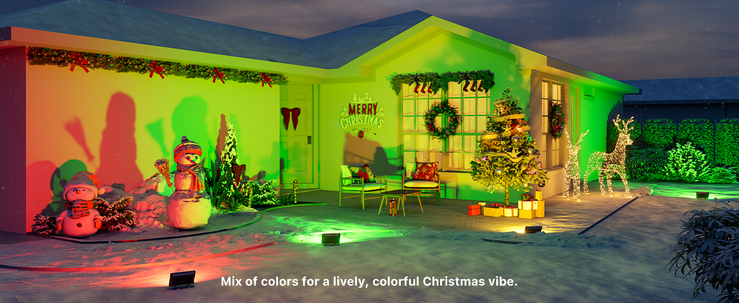 Christmas Flood light