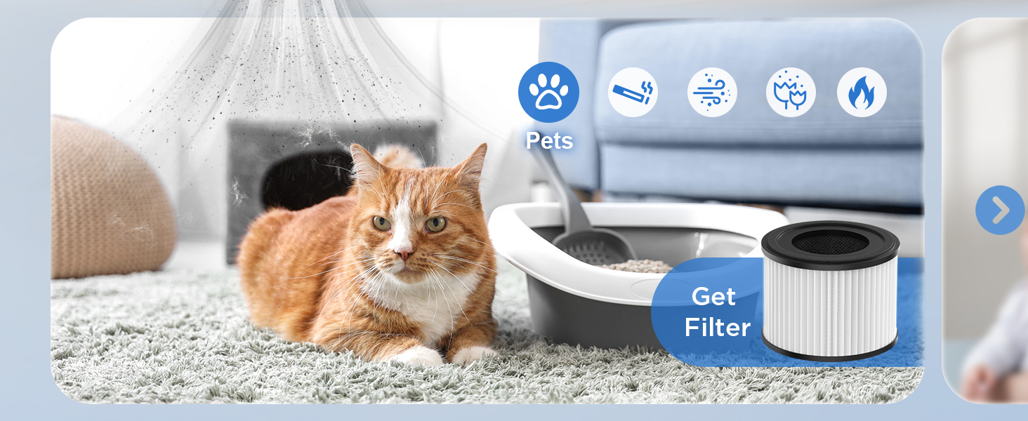 air purifiers for home