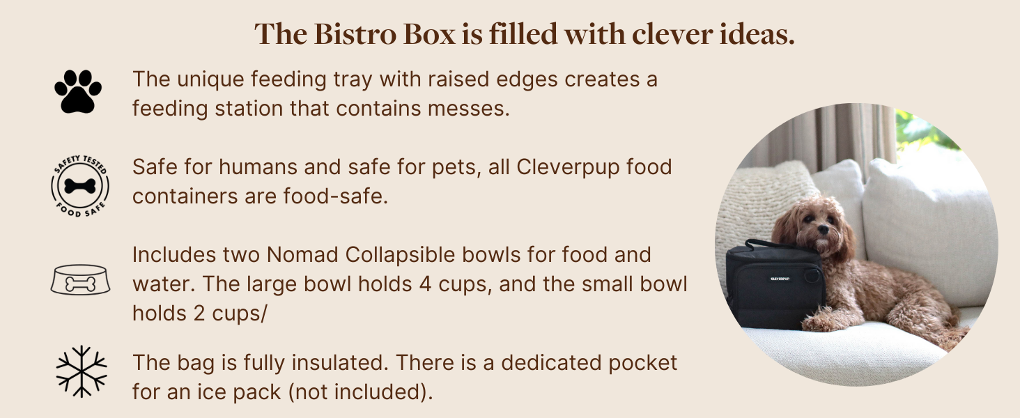 Bisto Box A+ 5