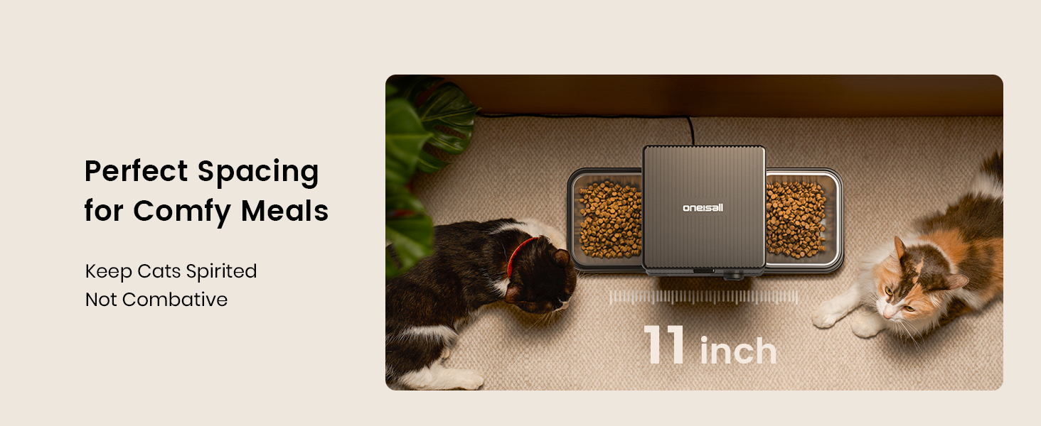 Automatic cat feeder