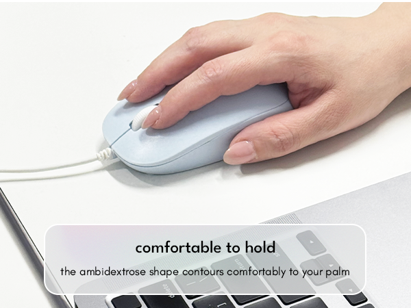 mouse
