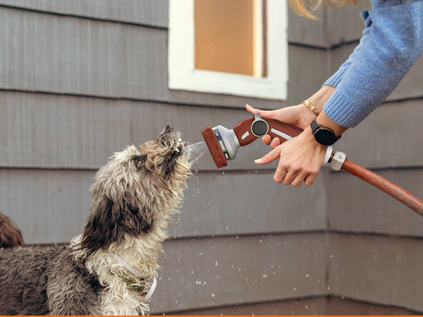 Pet Showering