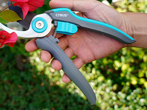 shears