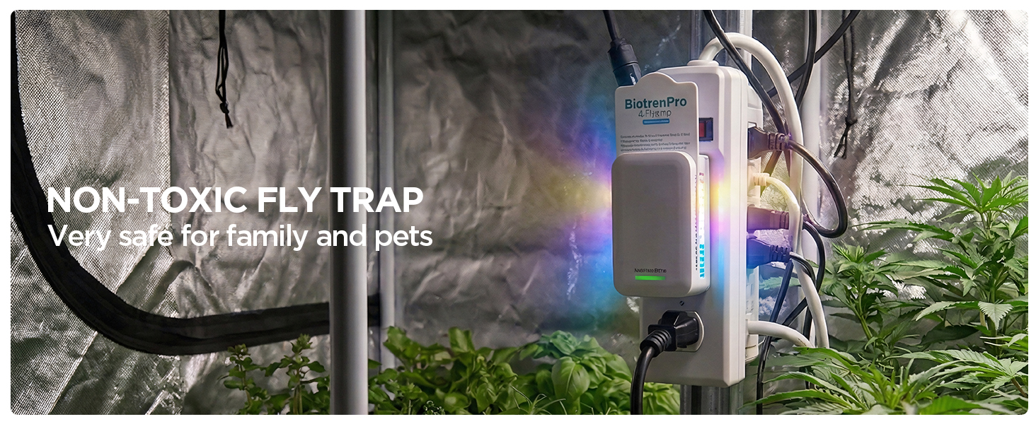 fly killer gnat killer plug in best safe electric flying insect trap fruit fly bug blue UV light