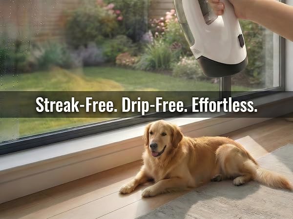 karcher window vac