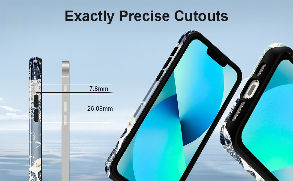 iPhone case