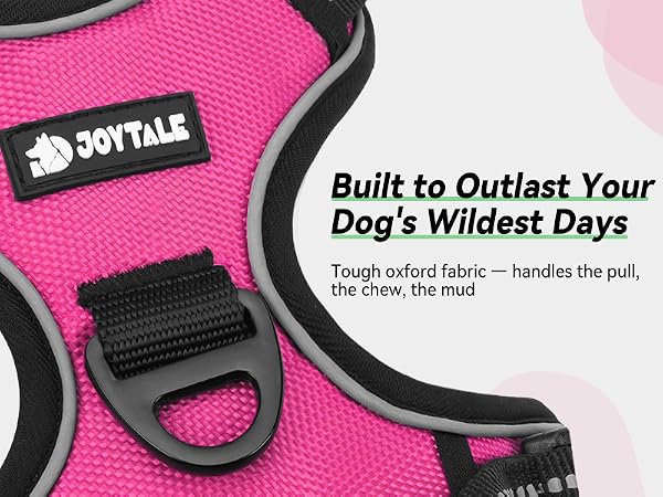 dog harness
