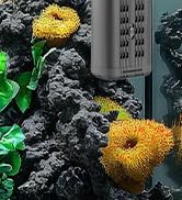 fish tank accessories