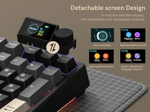 Detachable screen Design