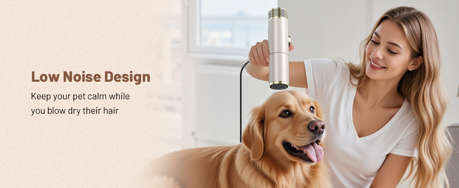european voltage hair dryer