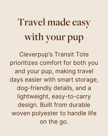 Transit Tote