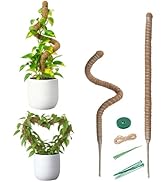 Mcbazel 2 Pack 31.5'' Bendable Moss Pole, Monstera Plant Support, Coco Coir Moss Poles for Climbi...