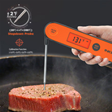 meat thermometer