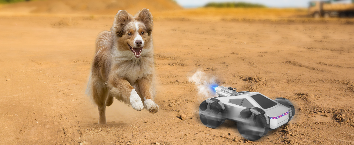 remote control car