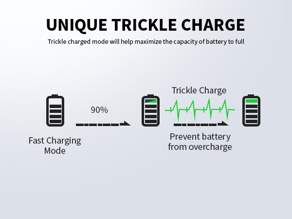battery charger aa aaa