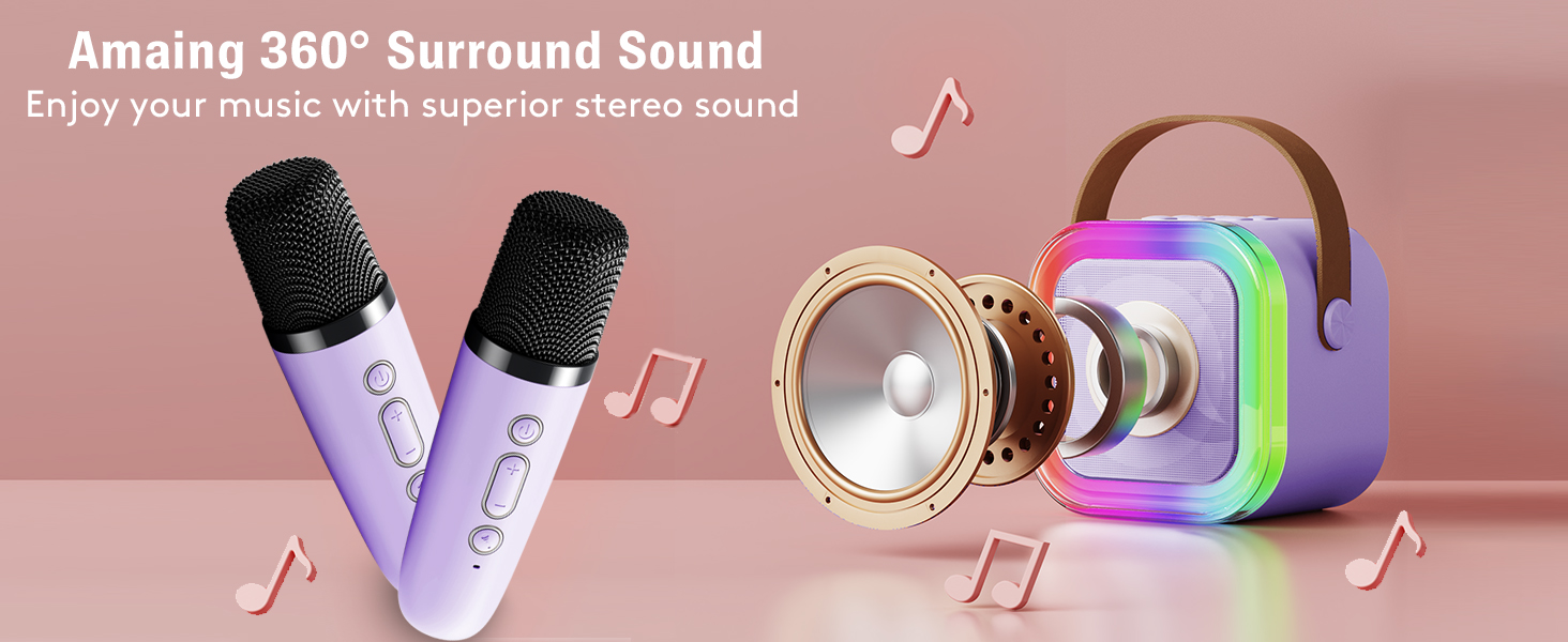 karaoke machine with 2 wireless microphones