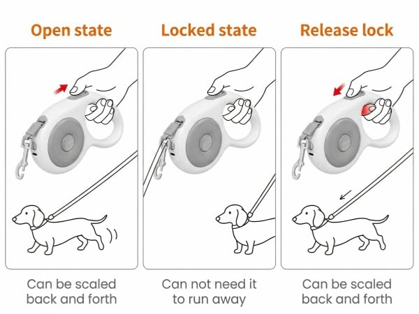 dog leash for 2 dogs