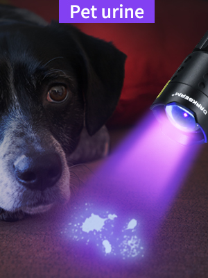 MINI 395NM BLACK LIGHT