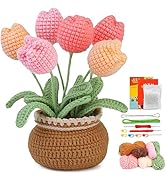 kgxulr Crochet Kit for Beginners,Crochet Kit Beginner Crochet Starter Kit for Complete Beginners ...