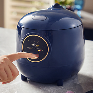 rice cooker small