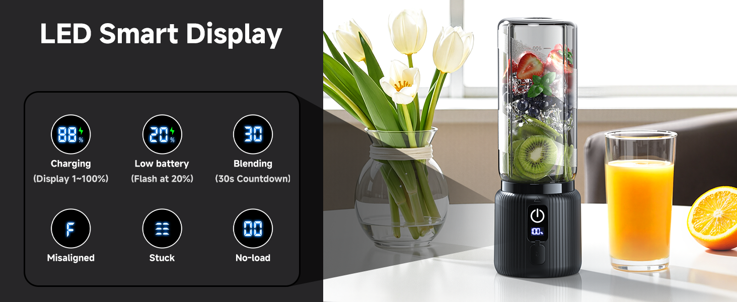 portable blender for shakes and smoothies