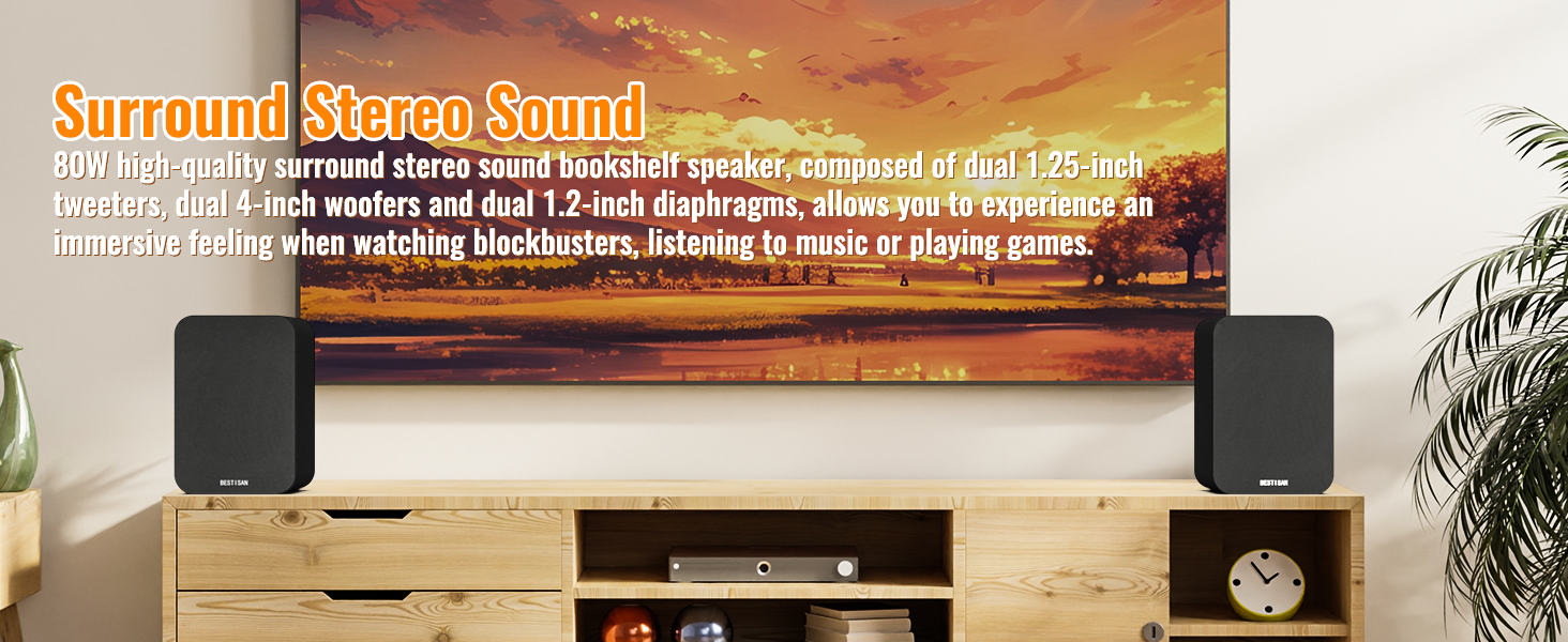 computer speakers pair