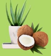 Coconut ear wipes