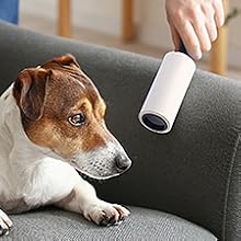 Lint Remover