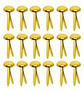 Hapy Shop Paper Fasteners,Medium 3/4-Inch Brass Plated Scrapbooking Brads Round Metal Brads for C...