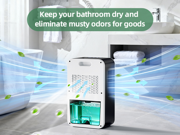 home Dehumidifier