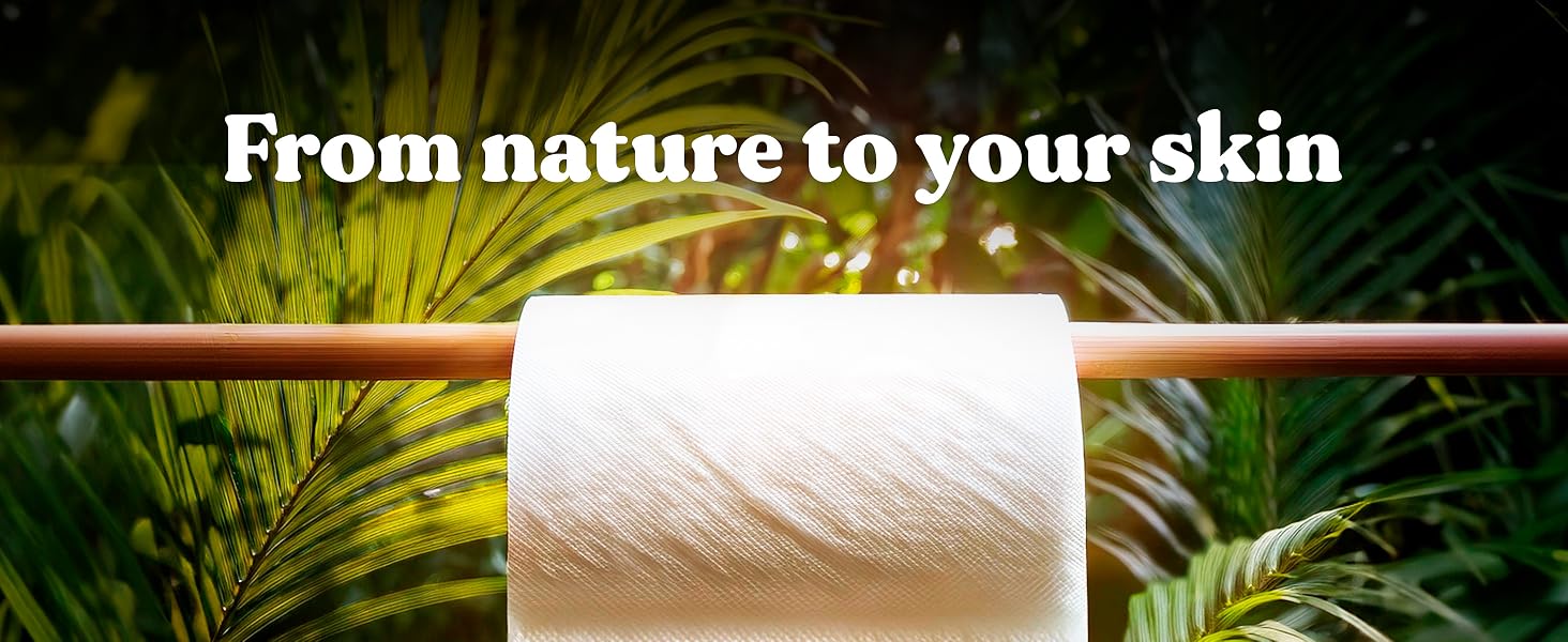 bamboo toilet paper plant organic chemical free pfa eco sustainable bambo natural recycled friendly
