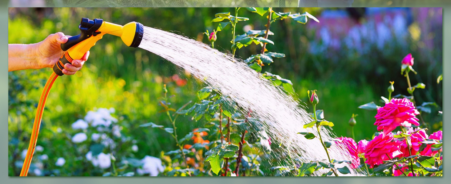 Plant Watering