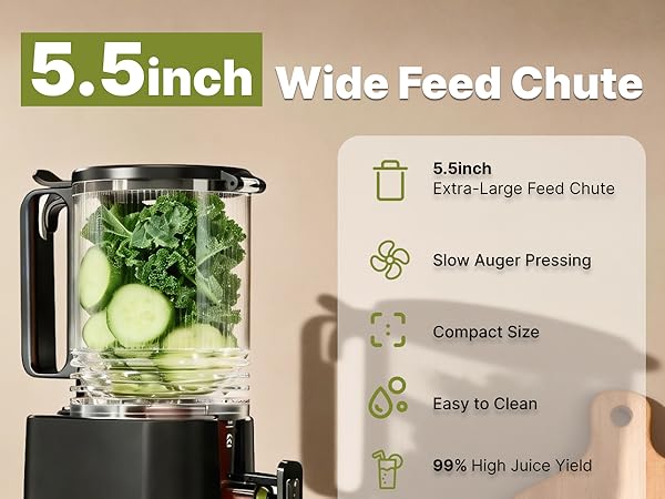 cold press juicer