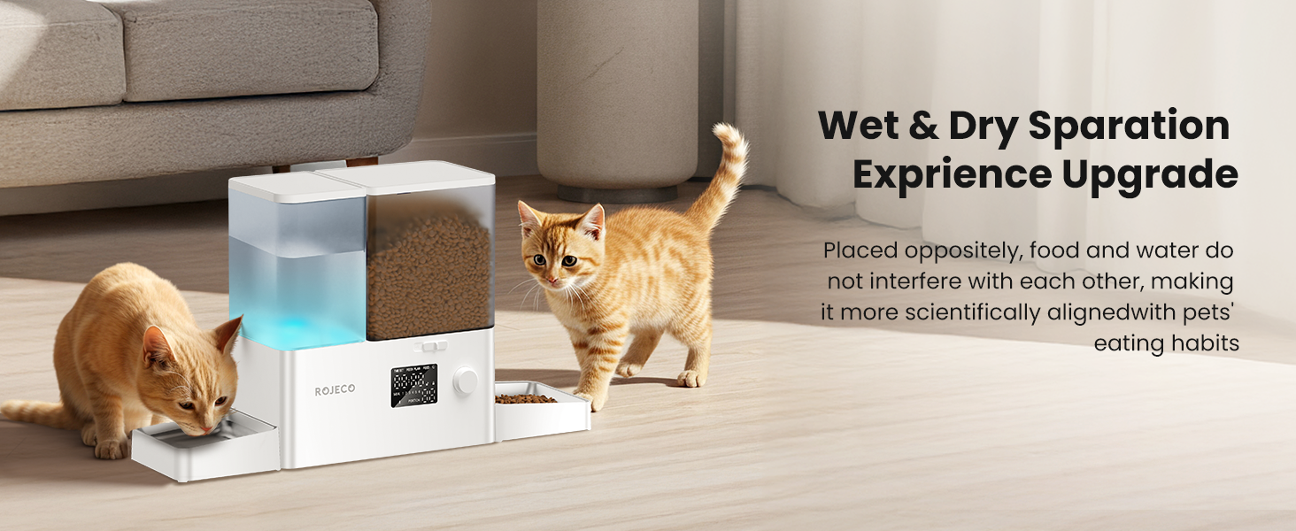 Automatic Cat Feeder and Water Dispenser